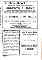 giornale/RML0024944/1933/unico/00000463