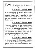 giornale/RML0024944/1933/unico/00000556