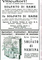 giornale/RML0024944/1933/unico/00000584