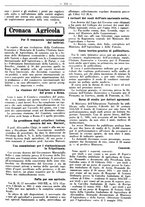 giornale/RML0024944/1934/unico/00000167