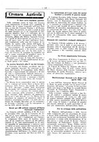 giornale/RML0024944/1934/unico/00000215