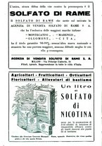 giornale/RML0024944/1934/unico/00000224