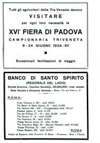 giornale/RML0024944/1934/unico/00000337