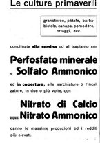 giornale/RML0024944/1934/unico/00000344