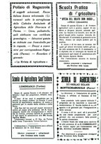 giornale/RML0024944/1934/unico/00000386