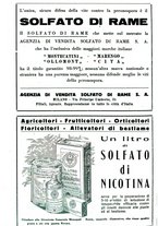 giornale/RML0024944/1934/unico/00000434