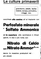 giornale/RML0024944/1934/unico/00000532