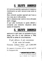 giornale/RML0024944/1934/unico/00000536