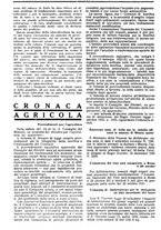 giornale/RML0024944/1934/unico/00000646