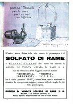 giornale/RML0024944/1934/unico/00000703