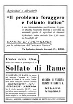 giornale/RML0024944/1935/unico/00000031