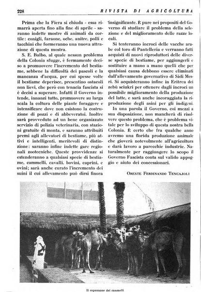 Rivista di agricoltura