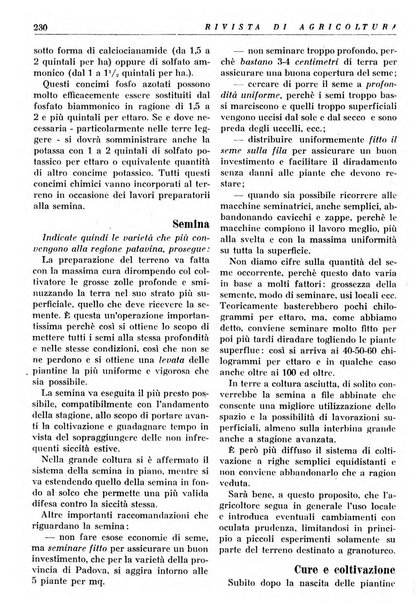 Rivista di agricoltura