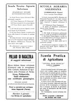 giornale/RML0024944/1935/unico/00000334