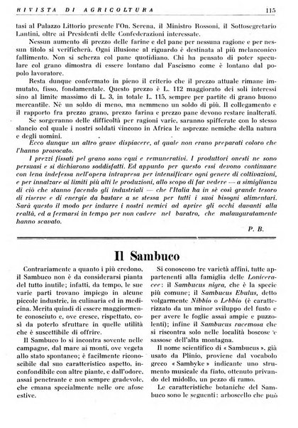 Rivista di agricoltura