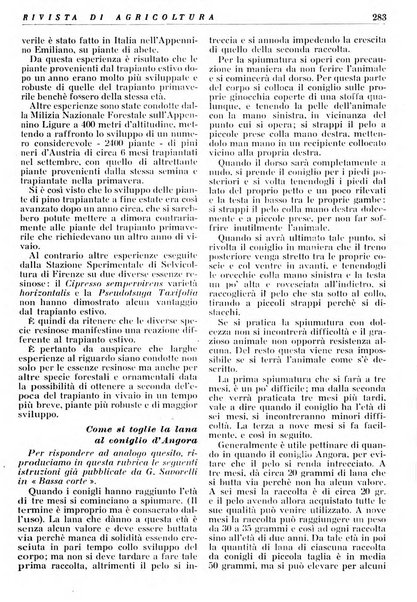 Rivista di agricoltura