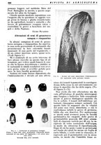 giornale/RML0024944/1936/unico/00000398