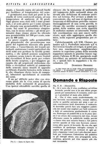 Rivista di agricoltura