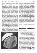 giornale/RML0024944/1936/unico/00000399
