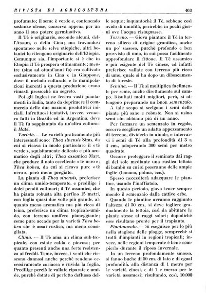 Rivista di agricoltura