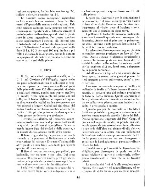 Rivista di agricoltura