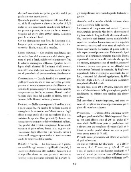 Rivista di agricoltura