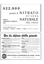 giornale/RML0024944/1937/unico/00000311