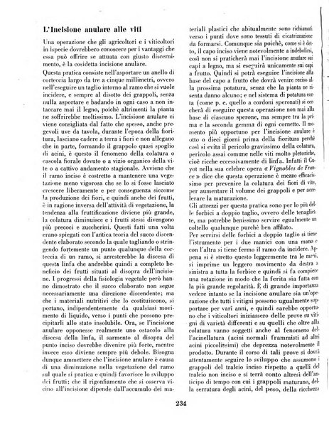 Rivista di agricoltura