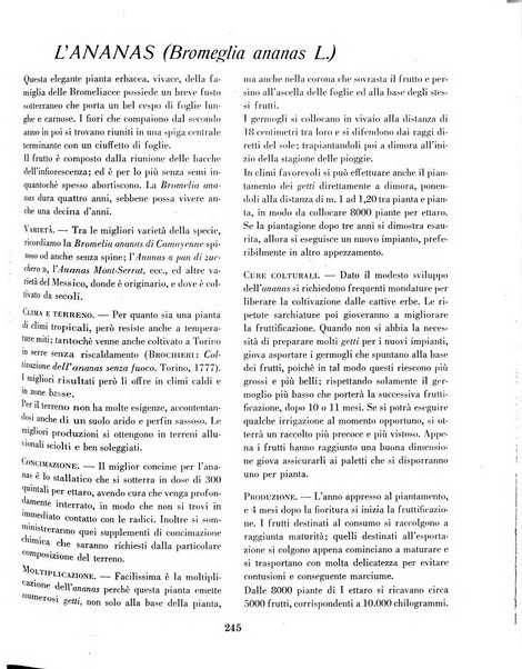 Rivista di agricoltura