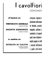 giornale/RML0024944/1937/unico/00000354