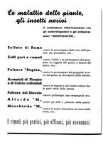 giornale/RML0024944/1937/unico/00000394