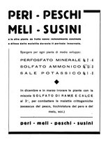 giornale/RML0024944/1938/v.1/00000006