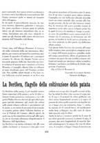 giornale/RML0024944/1938/v.1/00000155