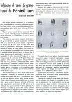 giornale/RML0024944/1939/unico/00000207