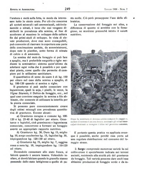 Rivista di agricoltura