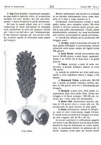 giornale/RML0024944/1939/unico/00000284