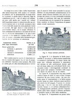 giornale/RML0024944/1939/unico/00000334