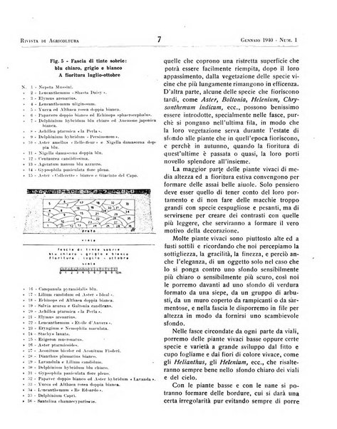 Rivista di agricoltura