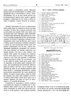 giornale/RML0024944/1940/unico/00000014