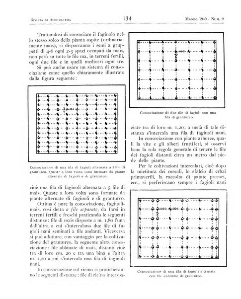 Rivista di agricoltura