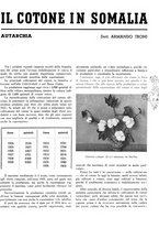 giornale/RML0024944/1940/unico/00000189