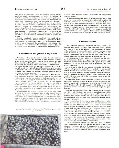 Rivista di agricoltura