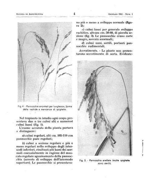 Rivista di agricoltura