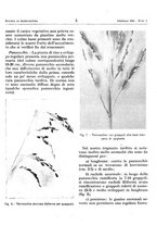 giornale/RML0024944/1941/unico/00000013