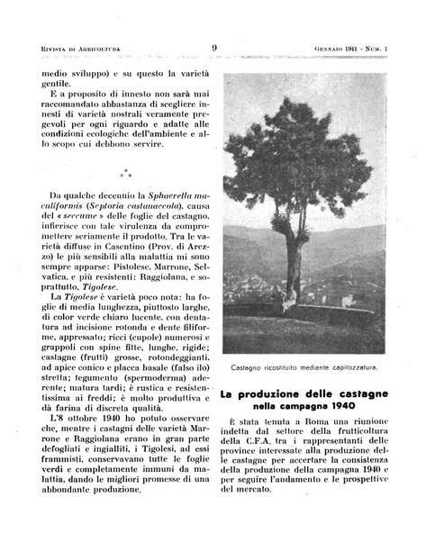 Rivista di agricoltura