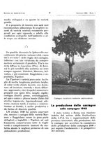 giornale/RML0024944/1941/unico/00000017