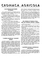 giornale/RML0024944/1941/unico/00000049