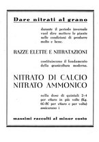 giornale/RML0024944/1941/unico/00000112