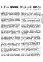 giornale/RML0024944/1941/unico/00000115