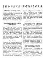 giornale/RML0024944/1941/unico/00000126